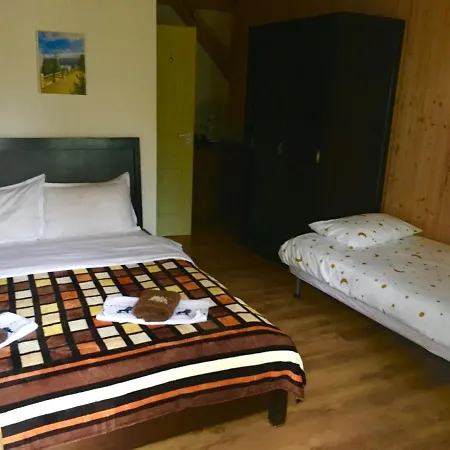 Casa Dintre Brazi אכסניה